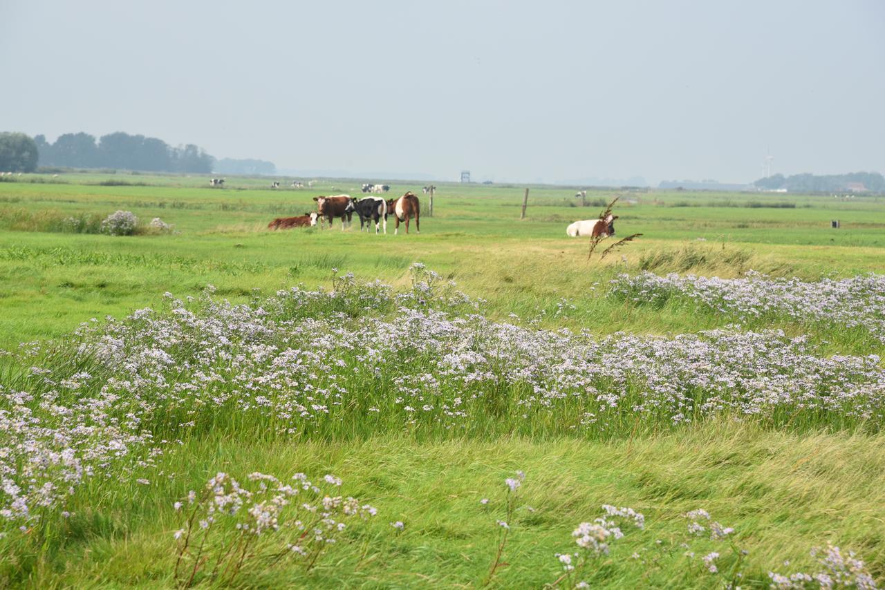 Countryside Eco Natuurhuisjes Ee Exterior photo