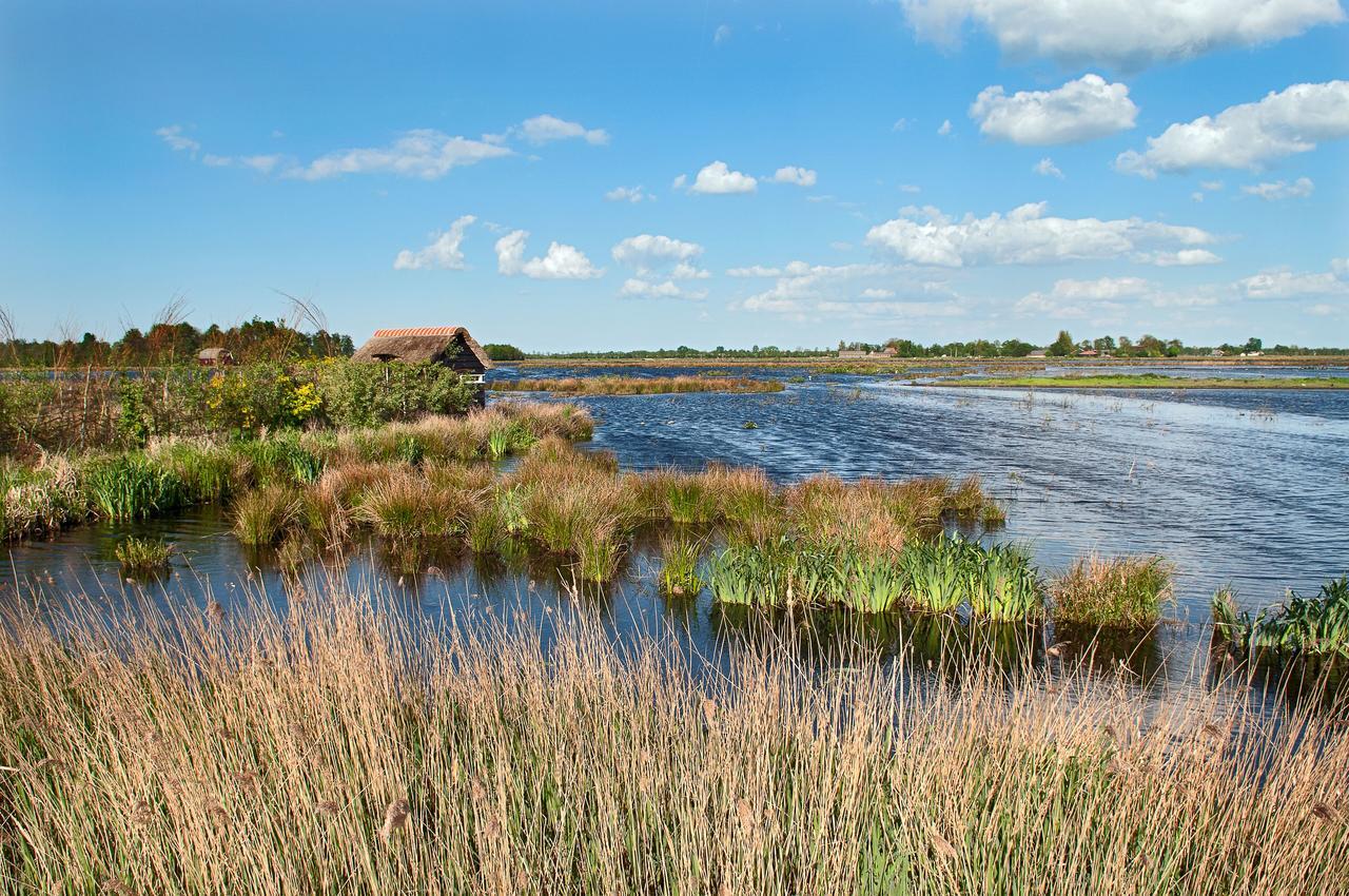 Countryside Eco Natuurhuisjes Ee Exterior photo