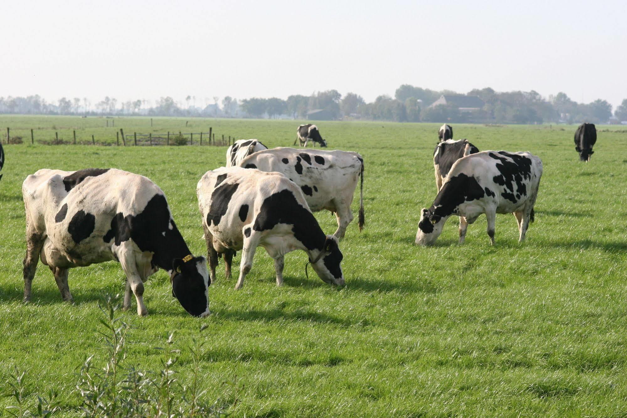Countryside Eco Natuurhuisjes Ee Exterior photo